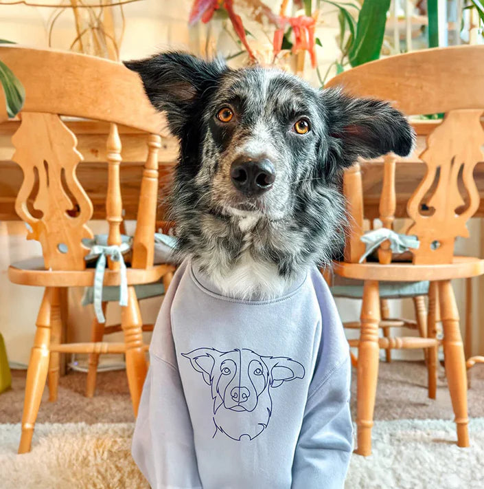 Custom Embroidered Hoodie