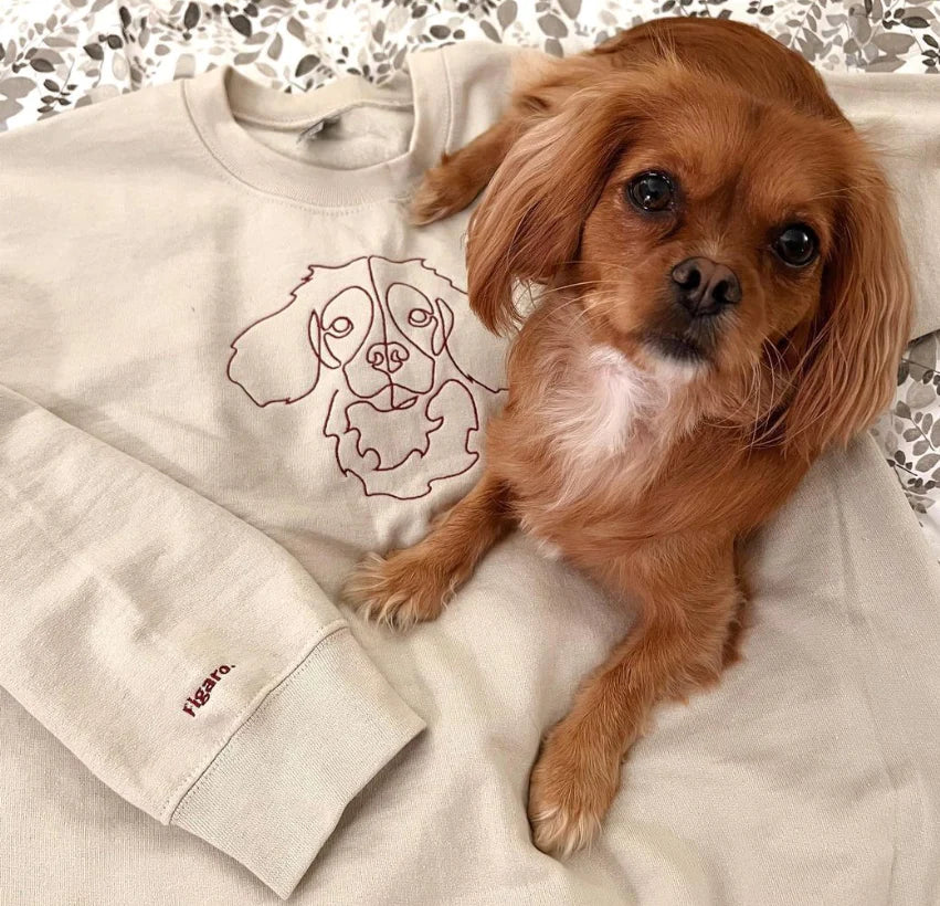 Custom Embroidered Hoodie